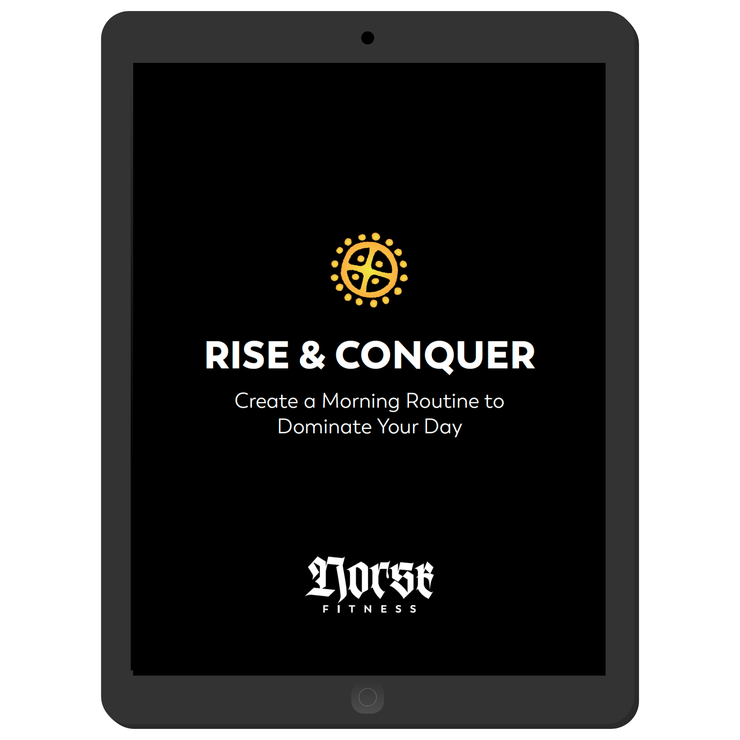 RISE & CONQUER E-BOOK